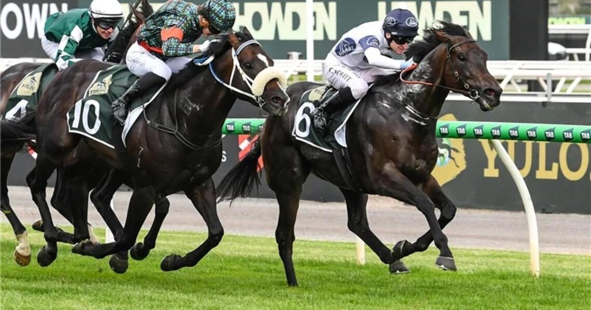 Caballus secures spot in richest turf race
