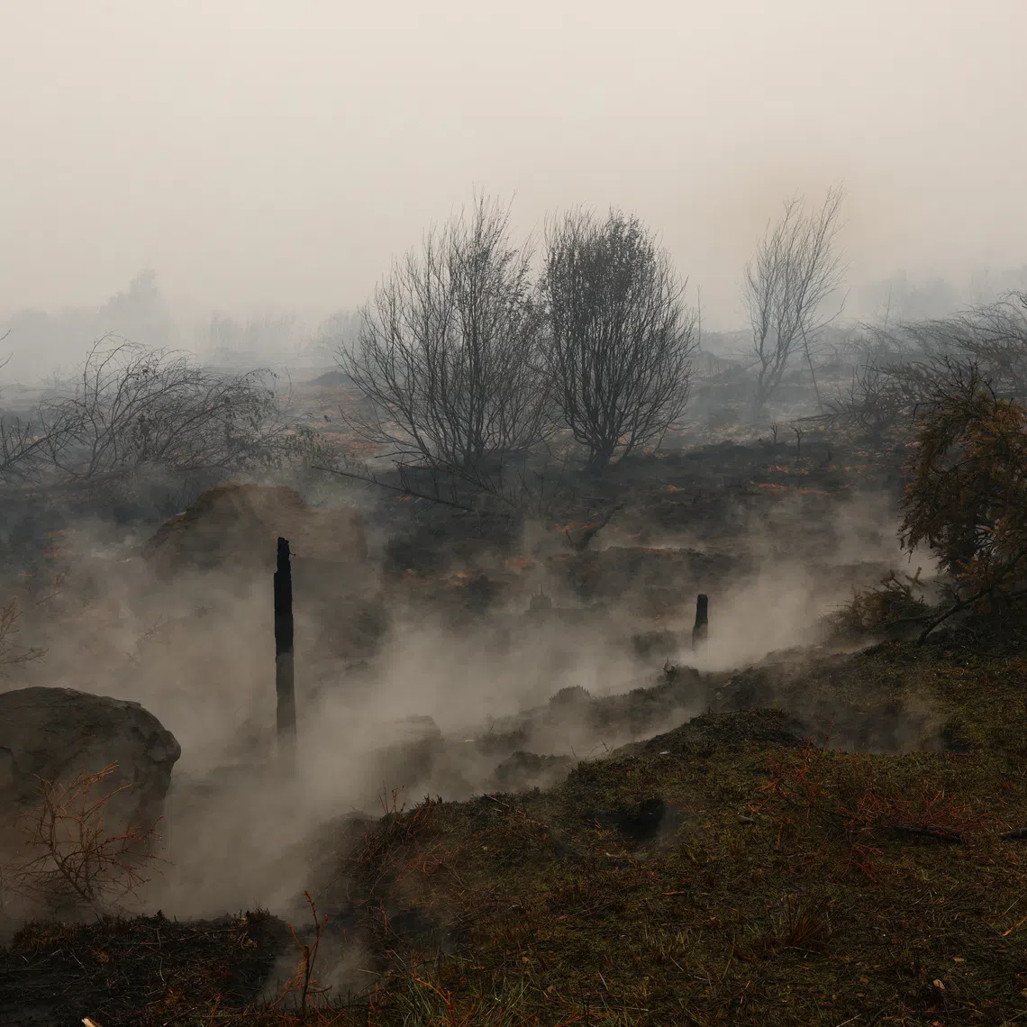 Smoke rising from burned soil next to charred trees in an area affected by a wildfire near Malmedy, Belgium, on Aug 16.