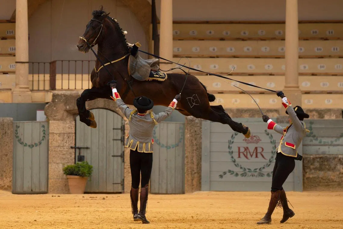 Horsemen taking part in an equestrian show marking the 450th anniversary of the Real Maestranza de Caballeria cultural institution in Ronda, southern Spain on April 19, 2023. 