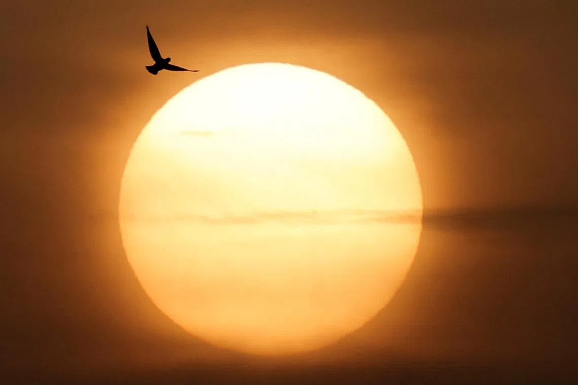 The sun rising in Cairo, Egypt, on March 19, 2026. 