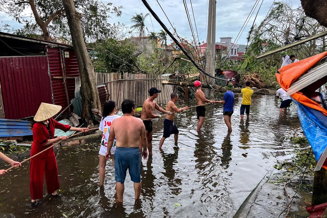 People remove fallen trees following the impact of Typhoon Yagi, in Hai Phong, Vietnam, September 8, 2024. REUTERS/Minh Nguyen/ File Photo