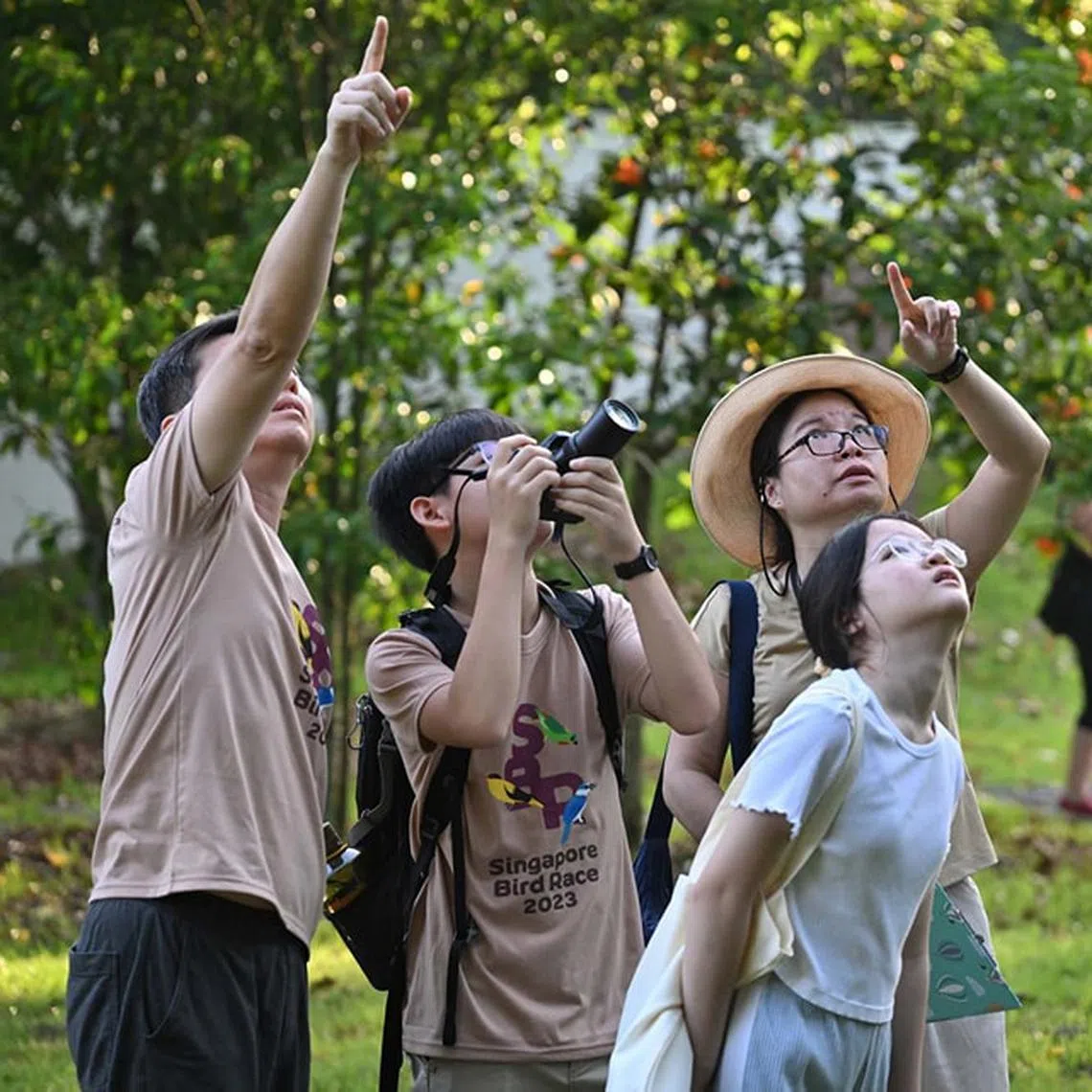 Participants of the Singapore Bird Race 2023 organised by Nature Society (Singapore) spotting and taking photo of a bird.