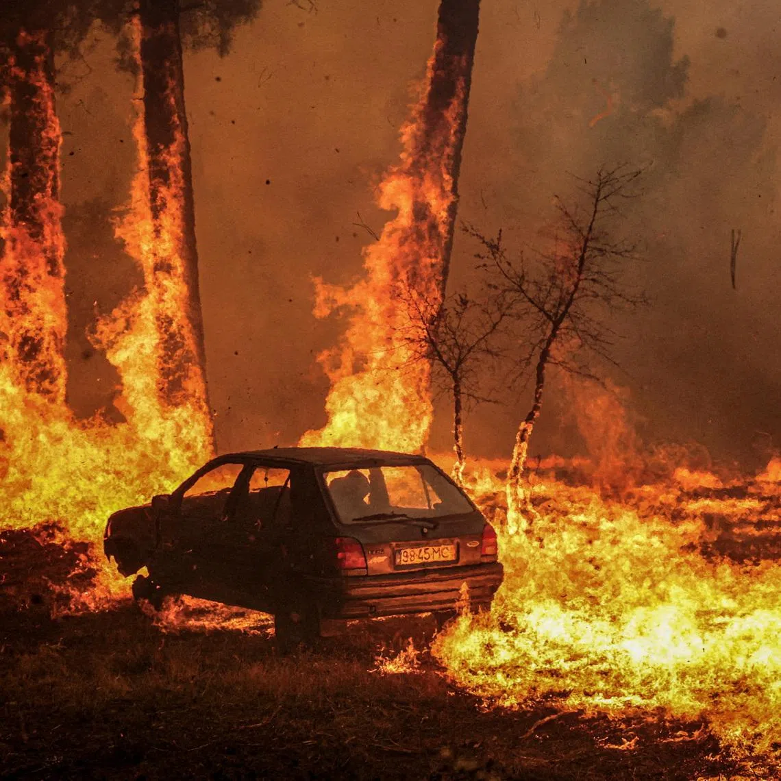 A car burns during the wildfire, in Meda, Portugal, August 15, 2025.