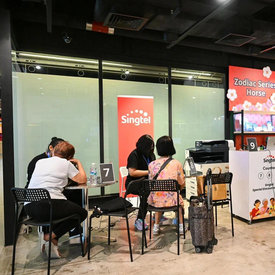 Approximately 615,000 Singaporeans aged 50 and above hold Singtel special discounted shares.