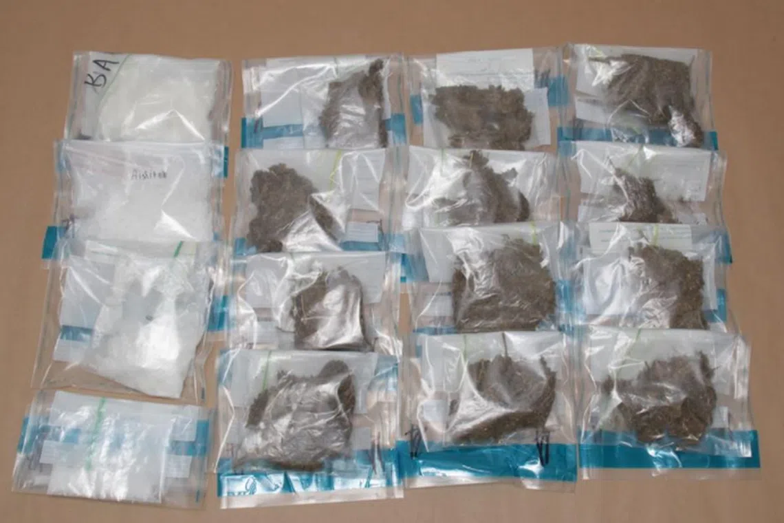 Drugs including about 695g of cannabis seized in CNB's operation on Sept 18.