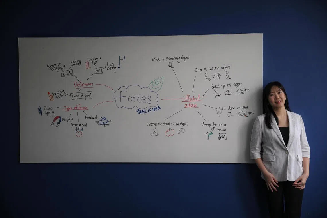 Jolene Ang, co-founder of BlueTree Education, says mind maps (shown) can be a good way to organise information and boost revision.