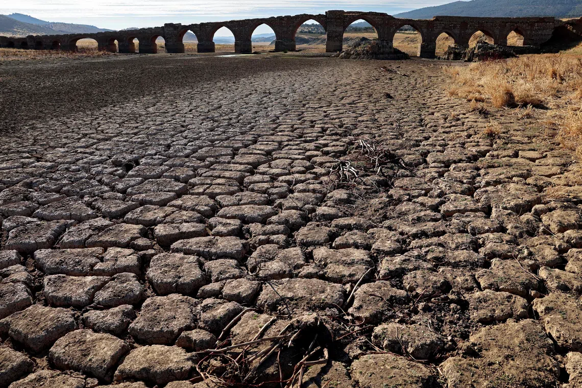 In our increasingly volatile world, where climate change intensifies the severity of extreme weather, taking steps to improve your household’s resilience is common sense.