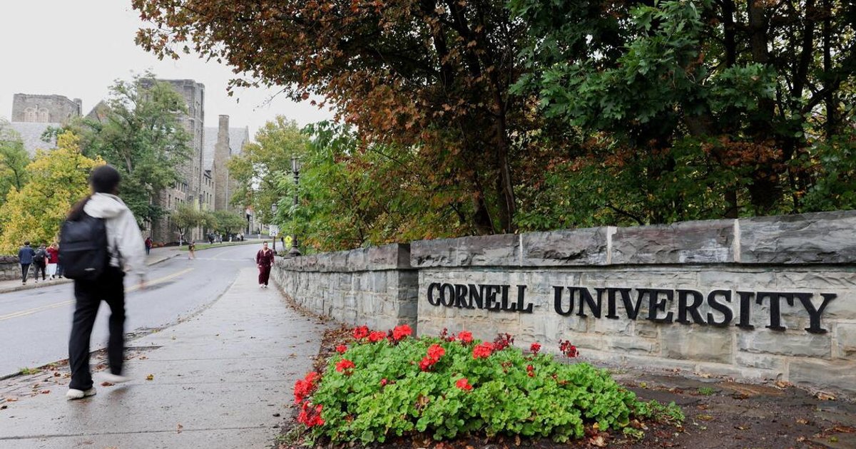 Online ‘witch hunt’ sweeps up Asians misidentified as Cornell rape accused