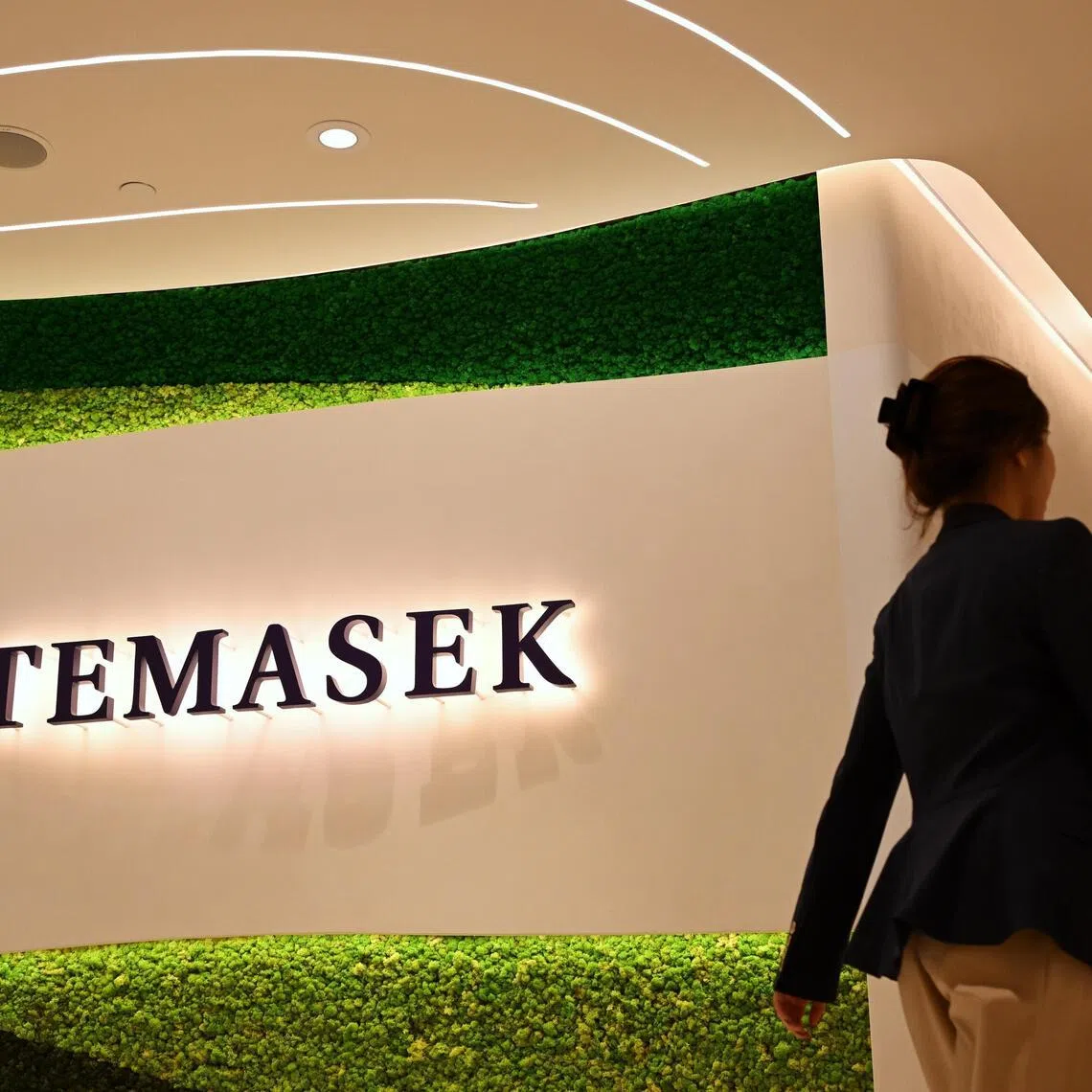 Defence will form part of Temasek’s broader push to invest more across Europe, the Middle East and Africa.