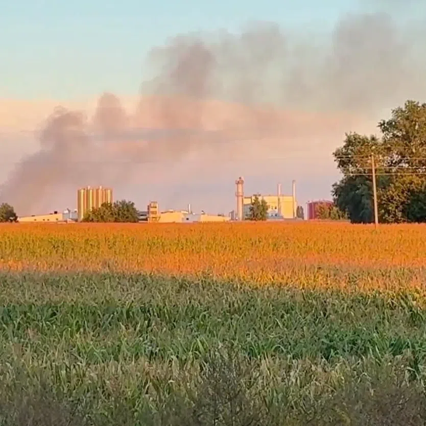 Ukrainian President Volodymyr Zelensky said Russia’s drone attack on the Coca-Cola plant was “a clear Russian signal to America”.