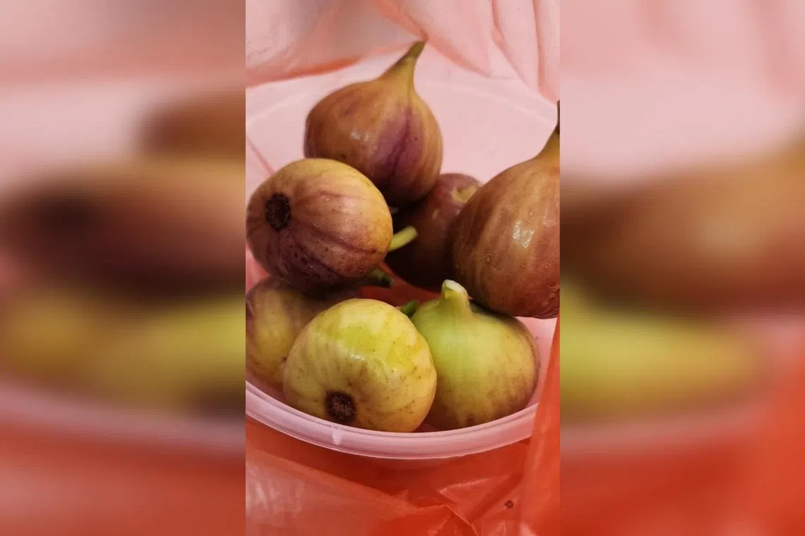 Wear gloves when harvesting figs.