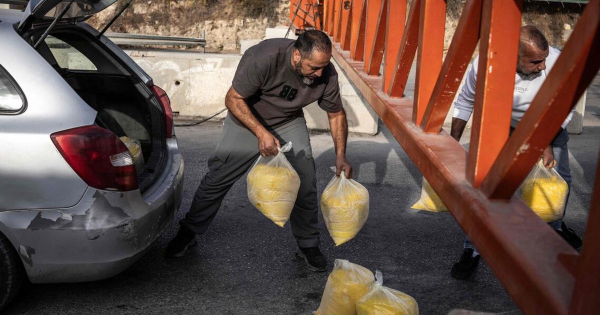 Around 1,200 Palestinians are displaced in Hebron as Israel begins military operation