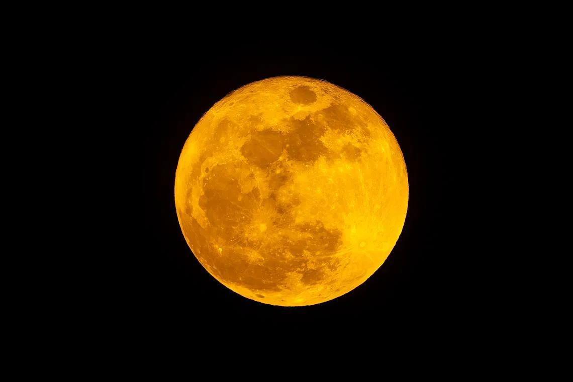 Image of the super blue moon captured from the NTU Student Services Centre on Aug 31, 2023, between 8pm and 8.45pm. 