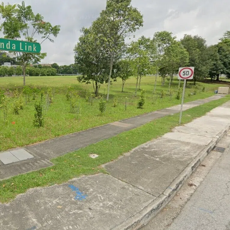 The sexual acts took place on April 18, 2022 at a secluded open space in the vicinity of Vanda Link, near the Sixth Avenue MRT station.  