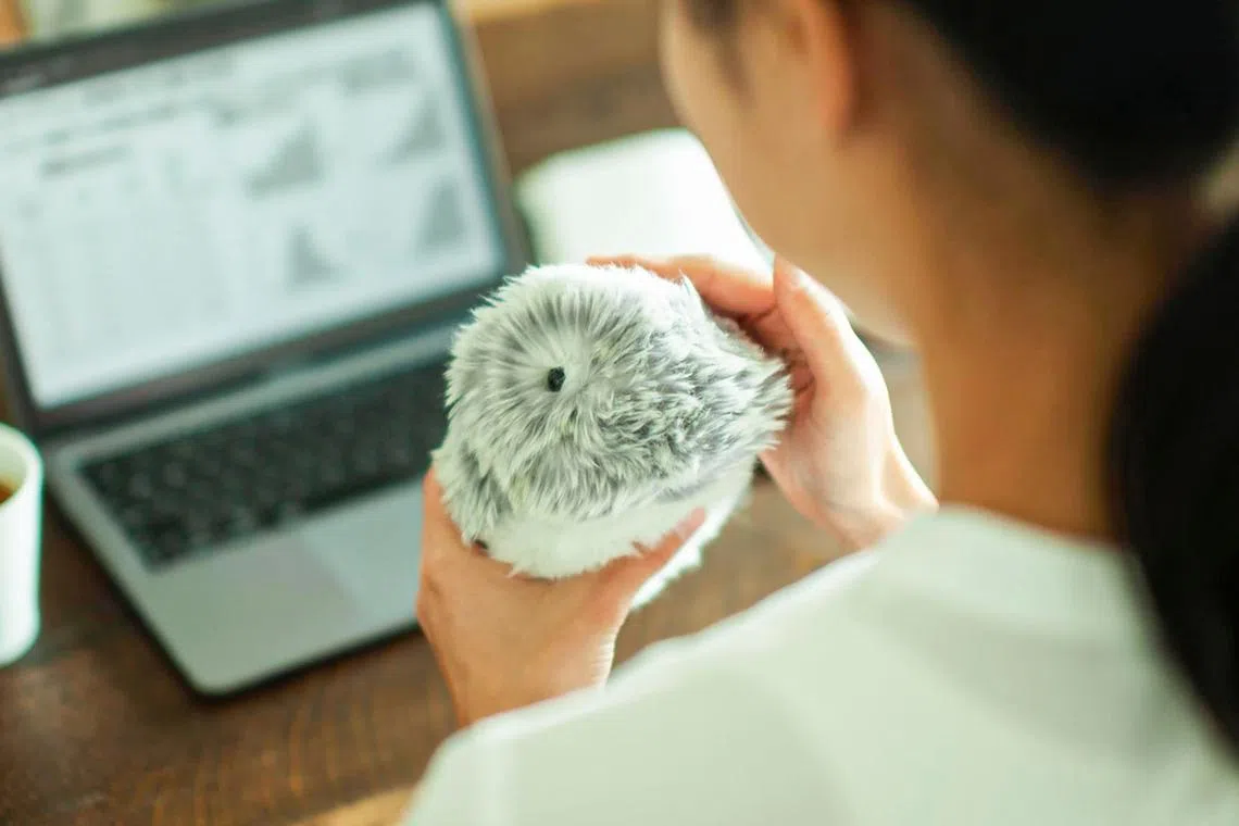 straitstimes.com - Casio's AI pet robot Moflin gets new pink colour