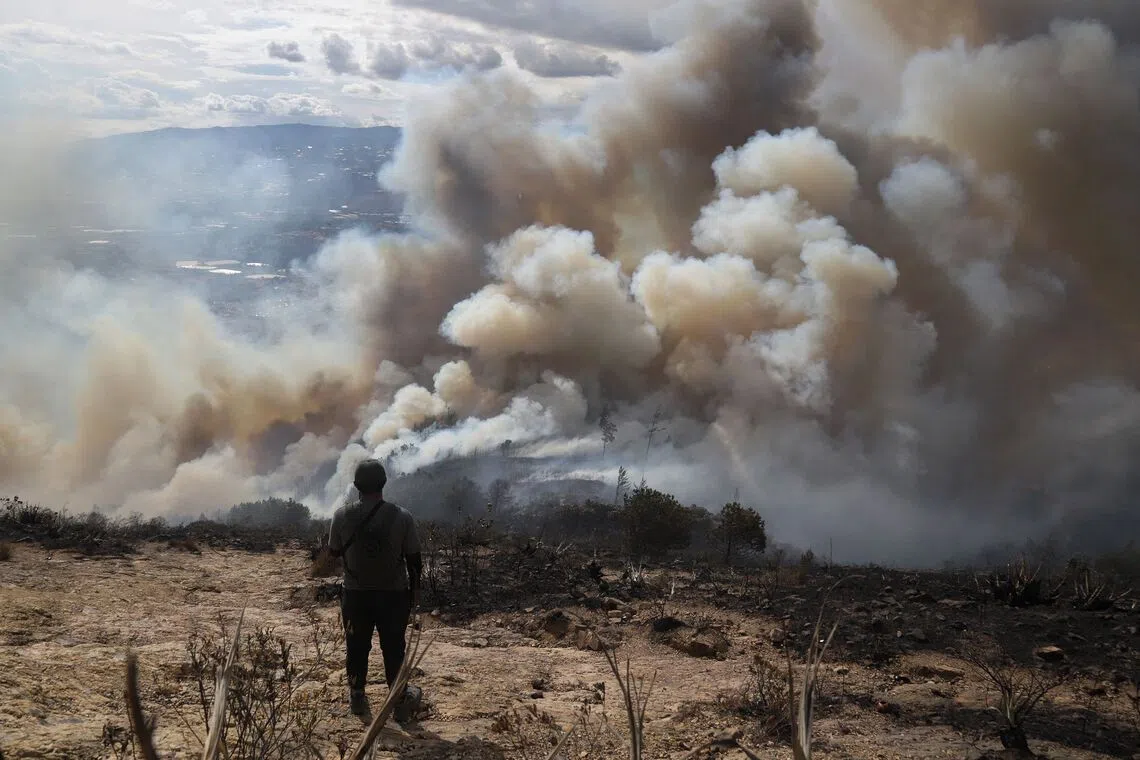 TOPSHOT - A volunteer looks on as a forest fire burns on San Marcos Hill in the municipality of Villa de Leyva, Boyaca department, Colombia, on September 20, 2026. (Photo by LUIS LIZARAZO / AFP)