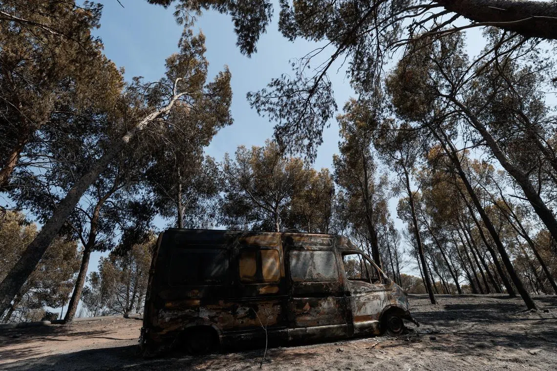 Spain’s government declared a national emergency last week over wildfires that have forced some 60,000 people to flee their homes and consumed 77,000 hectares.