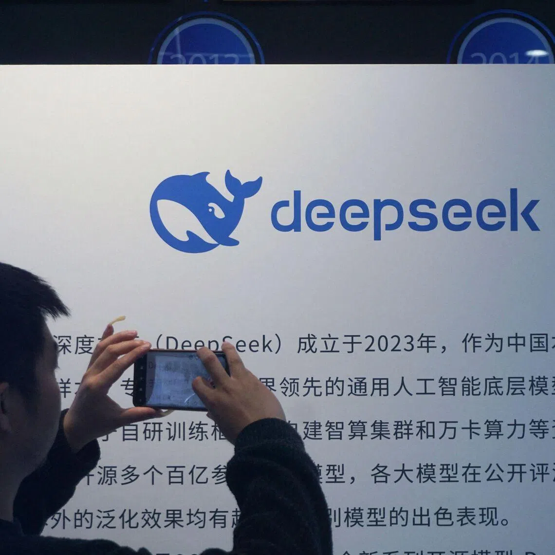 The release of DeepSeek's latest model comes at a time when China’s AI scene is increasingly crowded, says the writer.