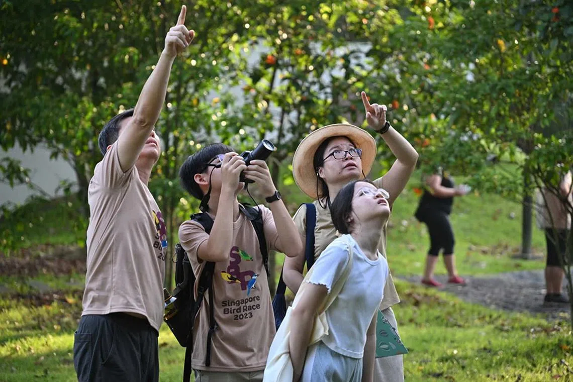Participants of the Singapore Bird Race 2023 organised by Nature Society (Singapore) spotting and taking photo of a bird.