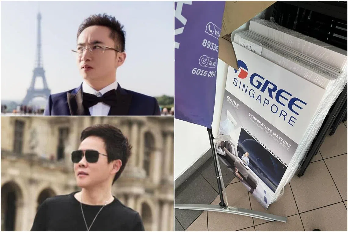 Su Baolin (top left) was removed as director and shareholder of SG Gree on Sept 26. Su Haijin was removed as a shareholder of the same firm on Sept 28.