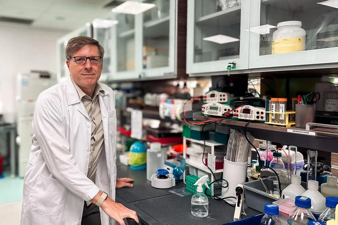 Professor Brian Kennedy heads NUS Medicine’s Healthy Longevity Translational Research Programme.