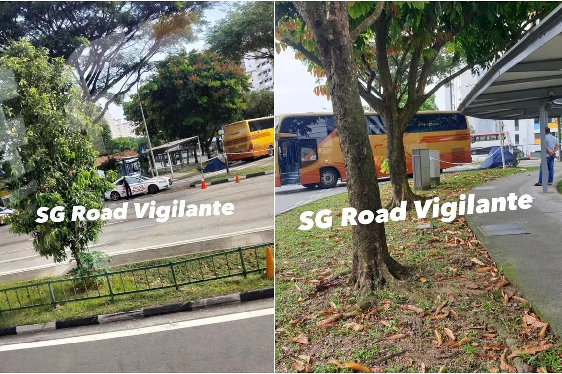 The cyclist was pronounced dead at the scene after an accident in Pioneer Road North on Jan 7.