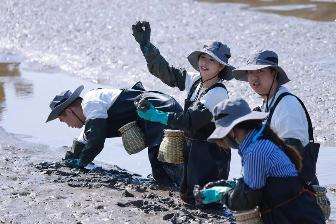 ayputien - Finally, a duotou clam.


Credit: Putien