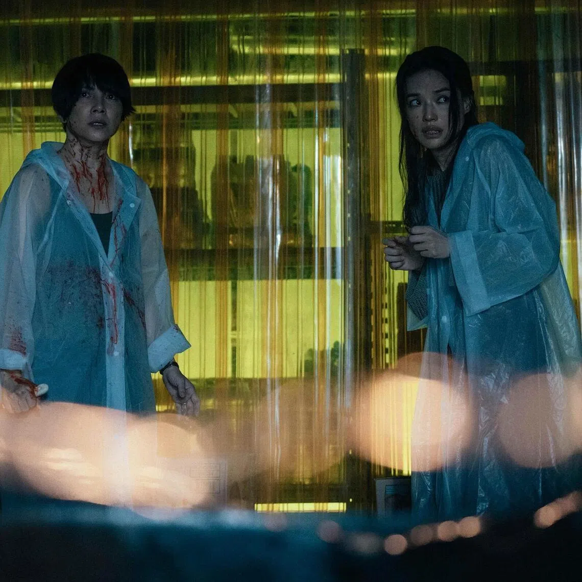 Lee Sinje (left) and Shu Qi in The Resurrected.
