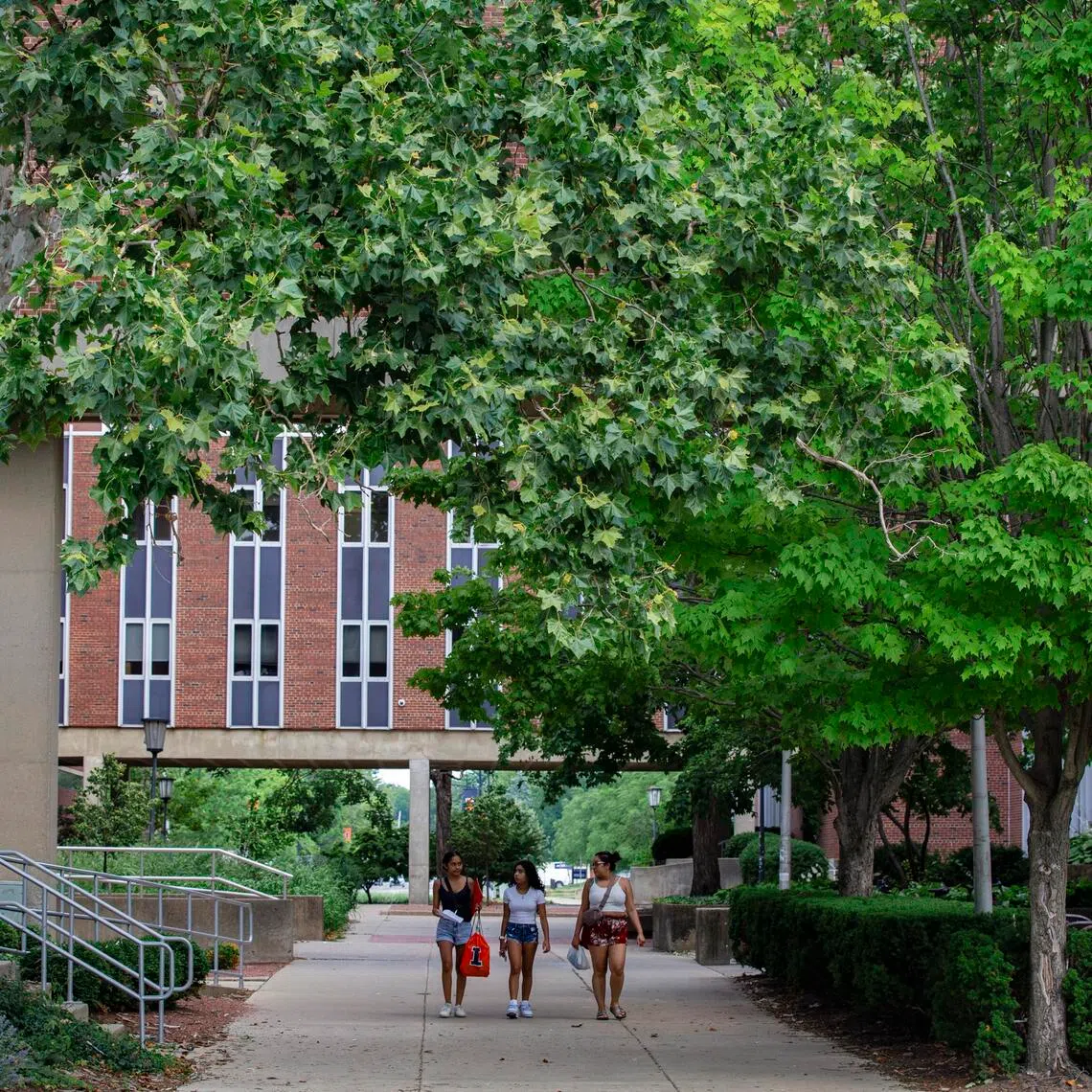 Two professors at the University of Illinois Urbana-Champaign confronted students in their introductory data science course after receiving identical apology e-mails that were written by AI.