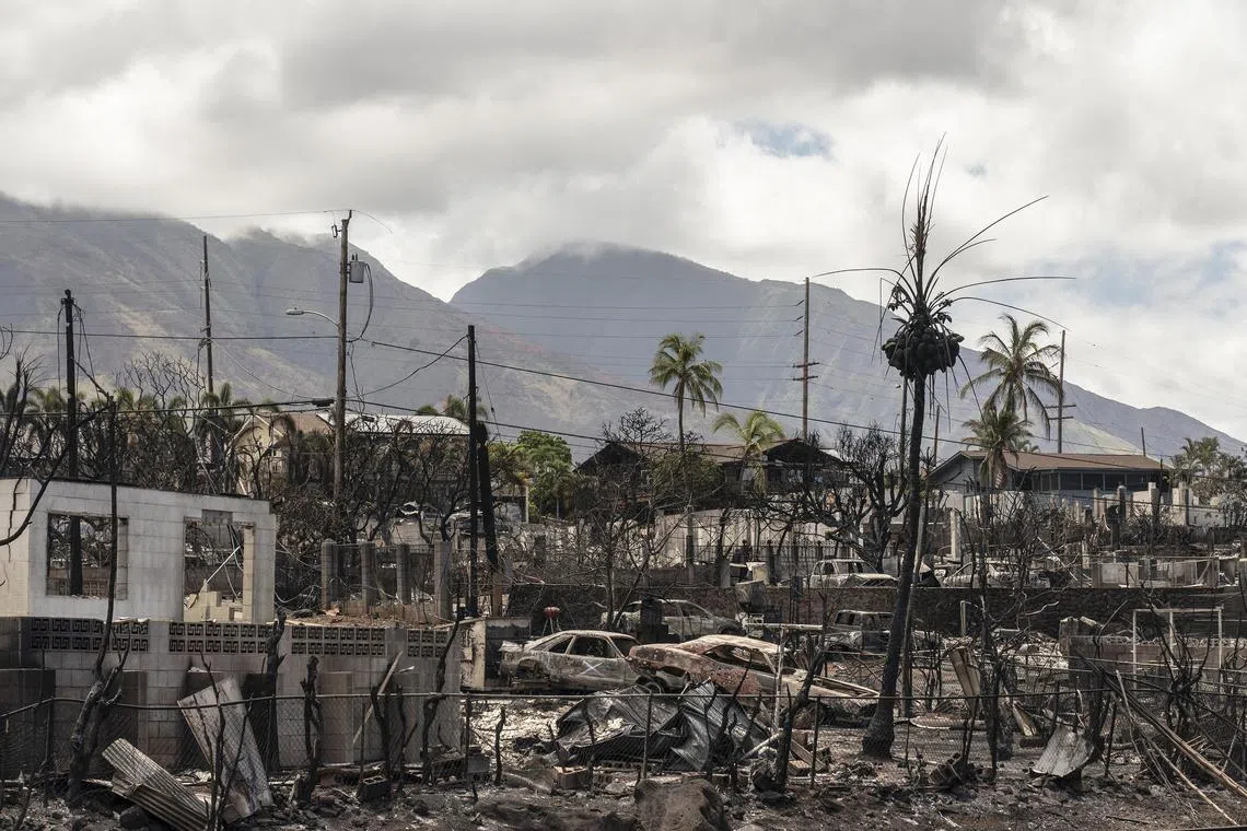 FILE Ñ The charred remains of a neighborhood in Lahaina, on the  Hawaiian island of Maui, Aug. 16, 2023. Hawaiian Electric is expected to pay the largest share Ñ nearly $2 billion Ñ but avoided a heftier price tag that could have forced the utility into bankruptcy. (Go Nakamura/The New York Times)
