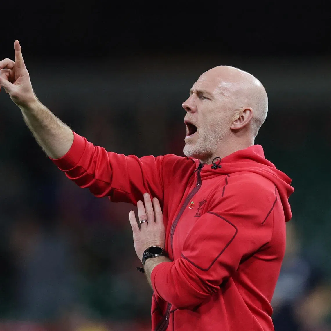 Rugby Union - Autumn Internationals - Wales v Argentina - Principality Stadium, Cardiff, Wales, Britain - November 9, 2025 Wales head coach Steve Tandy before the match Action Images via Reuters/Paul Childs