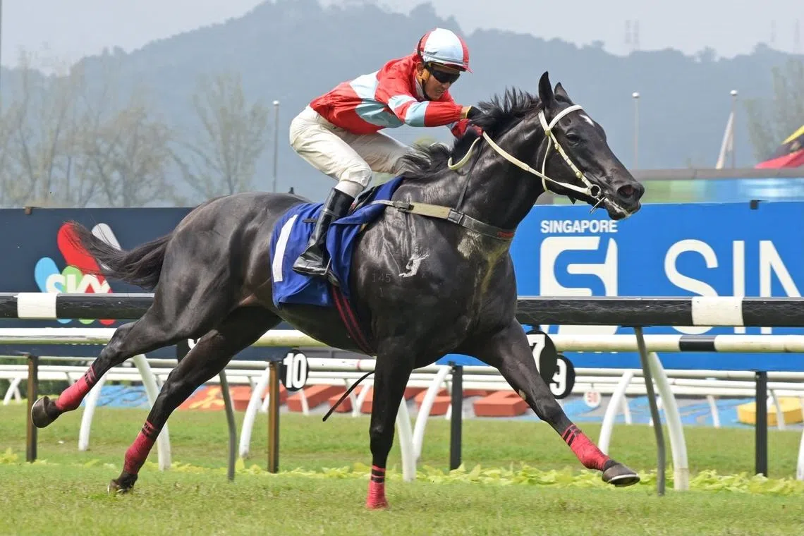 Fortune Rising can scale new heights in Selangor Silver