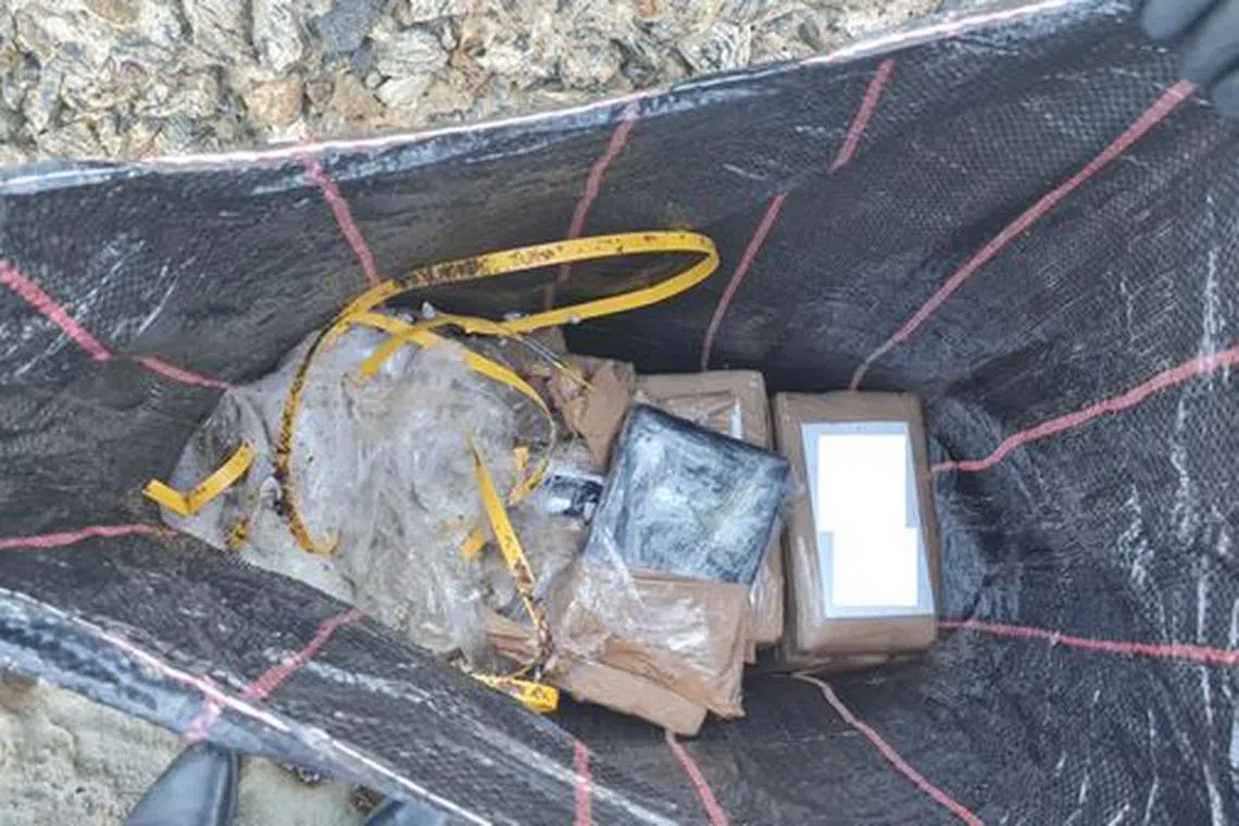 The first batch of cocaine had washed up on Dec 22 with more packages found on beaches north of Sydney in the following days. 