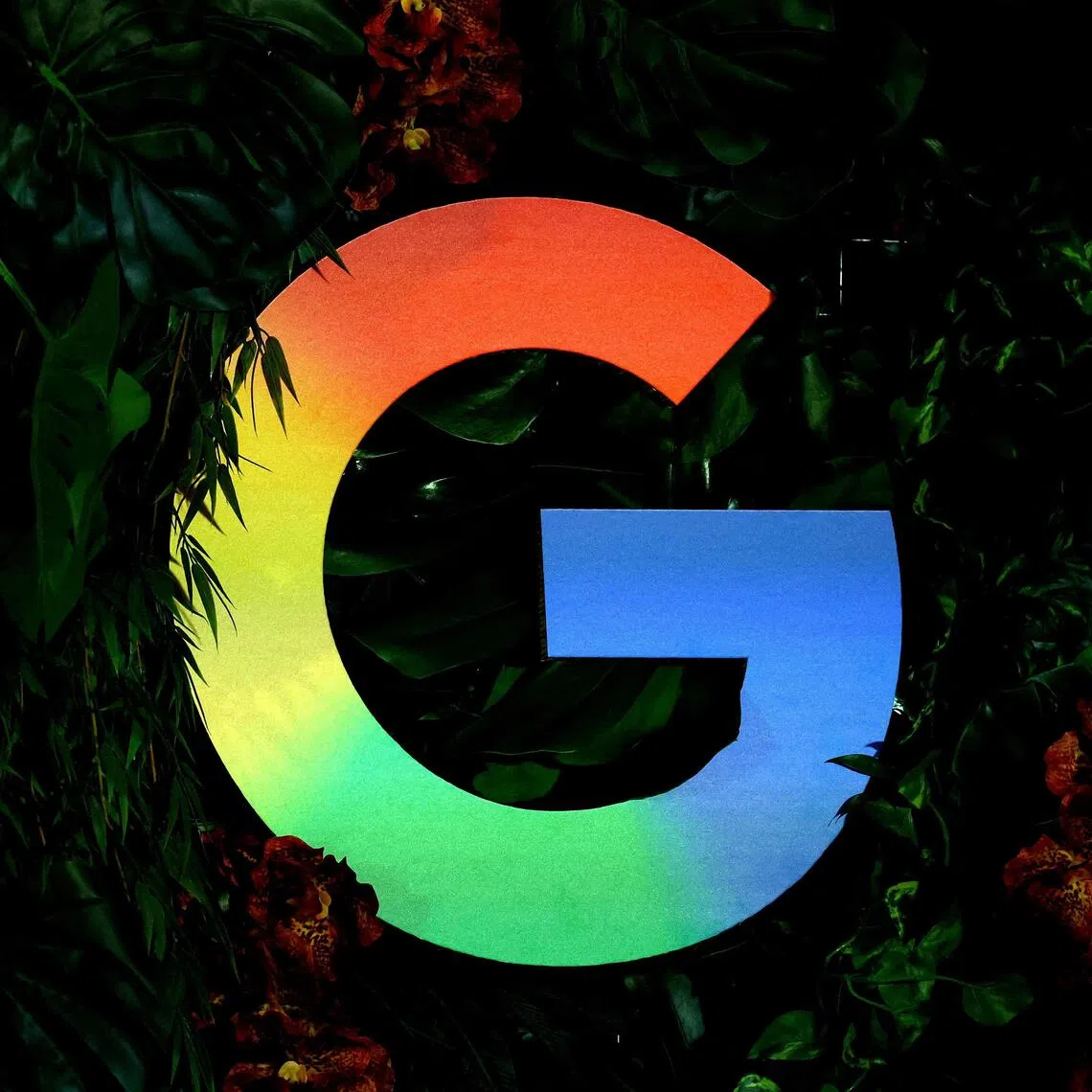 Indian officials had in recent weeks pressed tech companies like Google to report child abuse content concerning India directly.