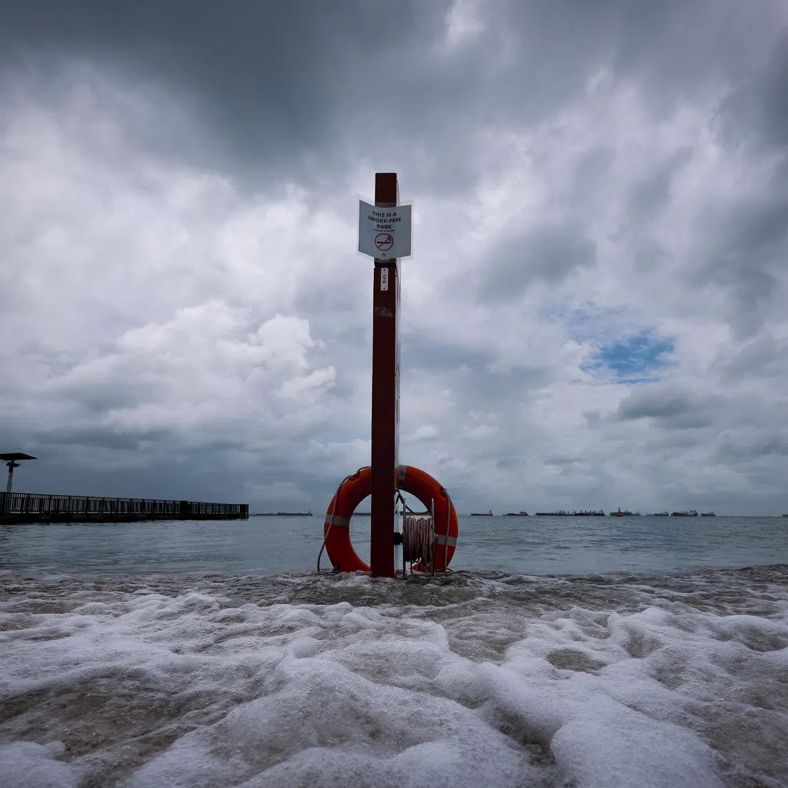 A lifebuoy partially submerged in seawater during high tide at East Coast Park on Jan 17.