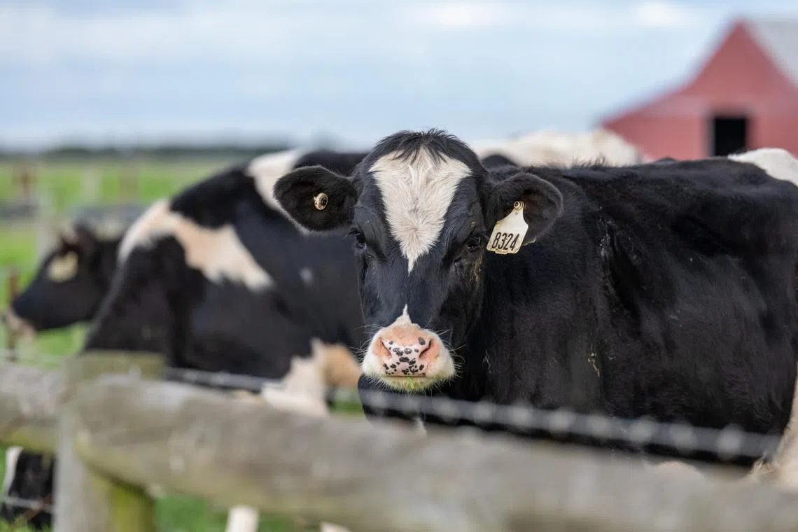 Australia did not specify the number of shipments that will be impacted by Malaysia’s decision.