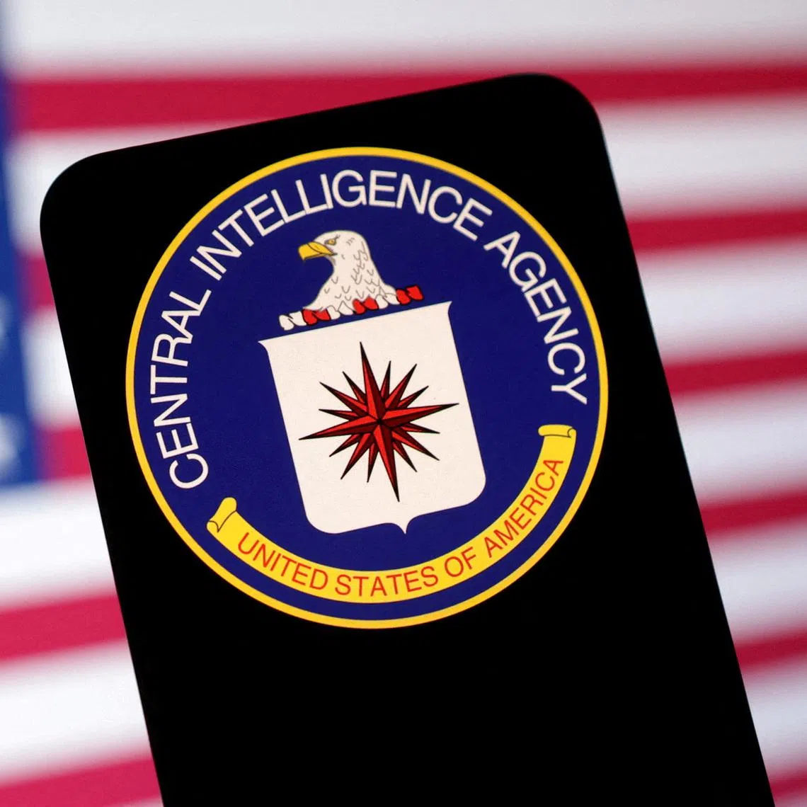 FILE PHOTO: The CIA (Central Intelligence Agency logo and U.S. flag are seen in this illustration taken May 6, 2025. REUTERS/Dado Ruvic/Illustration/File Photo