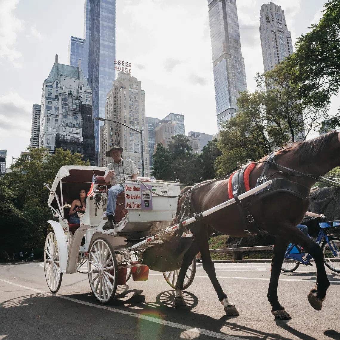 Horse-drawn carriages are a historic tourist attraction in New York City.