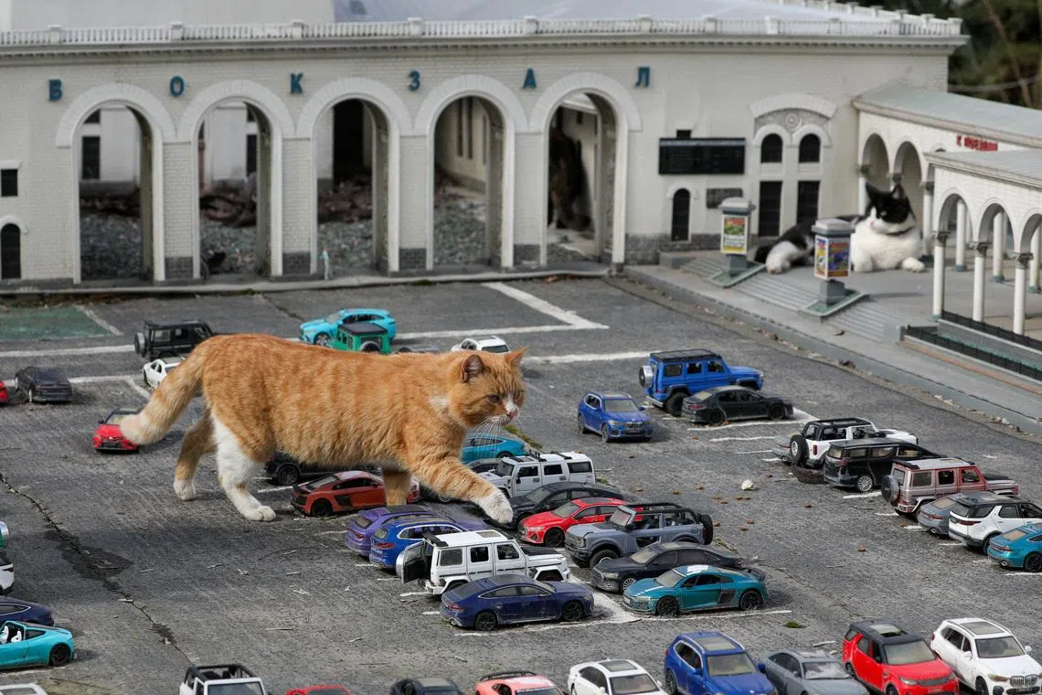 A cat walks among toy cars at a zoo in the park of miniatures in Bakhchisarai, Crimea, March 8, 2026. REUTERS/Alexey Pavlishak TPX IMAGES OF THE DAY
