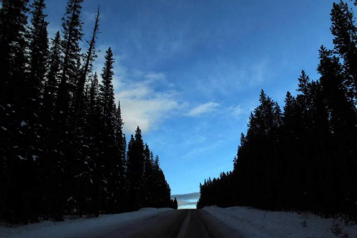 FILE PHOTO: A snow covered road leads up a hill at dusk in Banff National Park near Lake Louise, Alberta December 2, 2011.    REUTERS/Mike Blake/File Photo