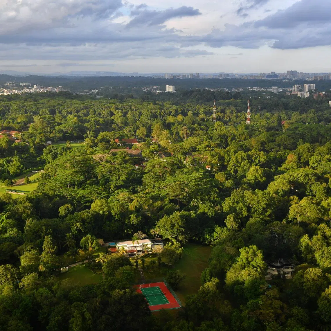 NGOs working directly with local communities will now find it easier to quantify the benefits of forest conservation from carbon projects by using the Nature-based Solutions (NbS) tool. 