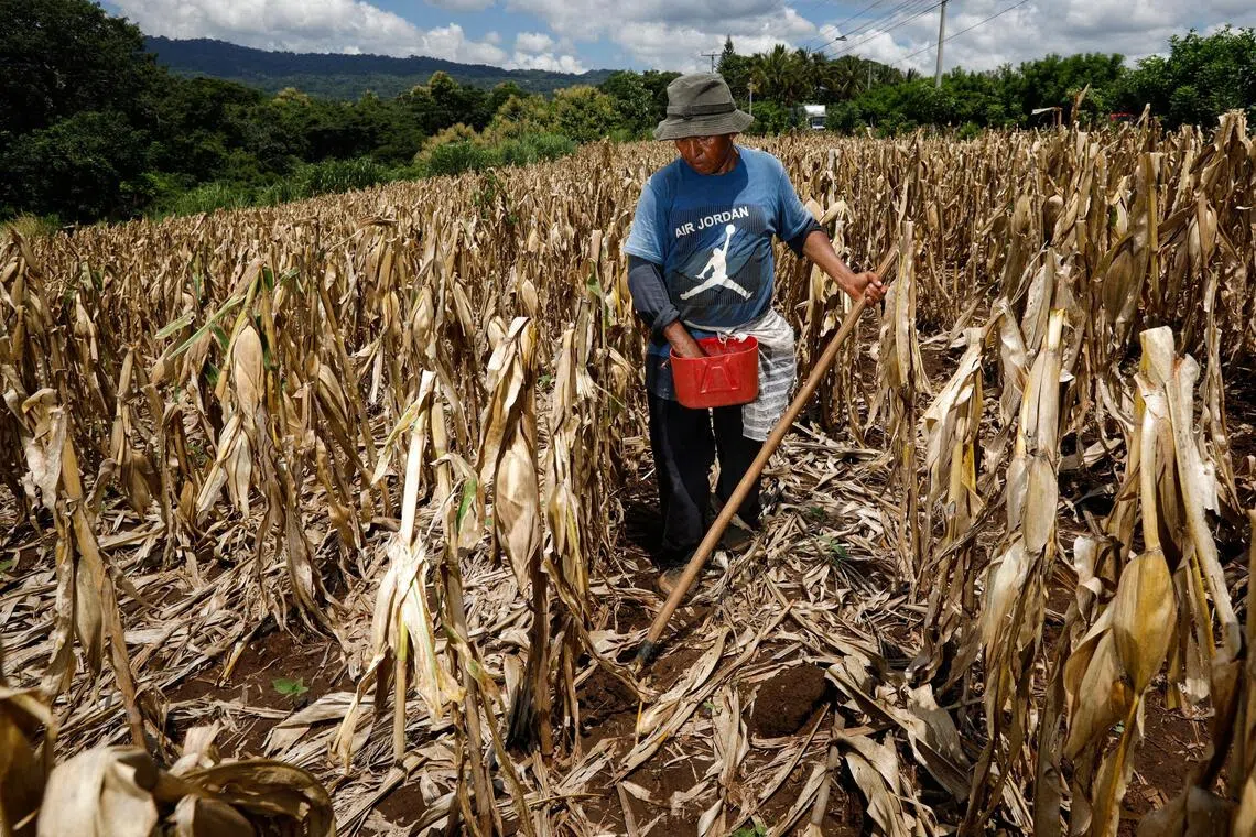 Global forecasters have been warning for months that the El Nino in 2026 would likely become the strongest ever observed.
