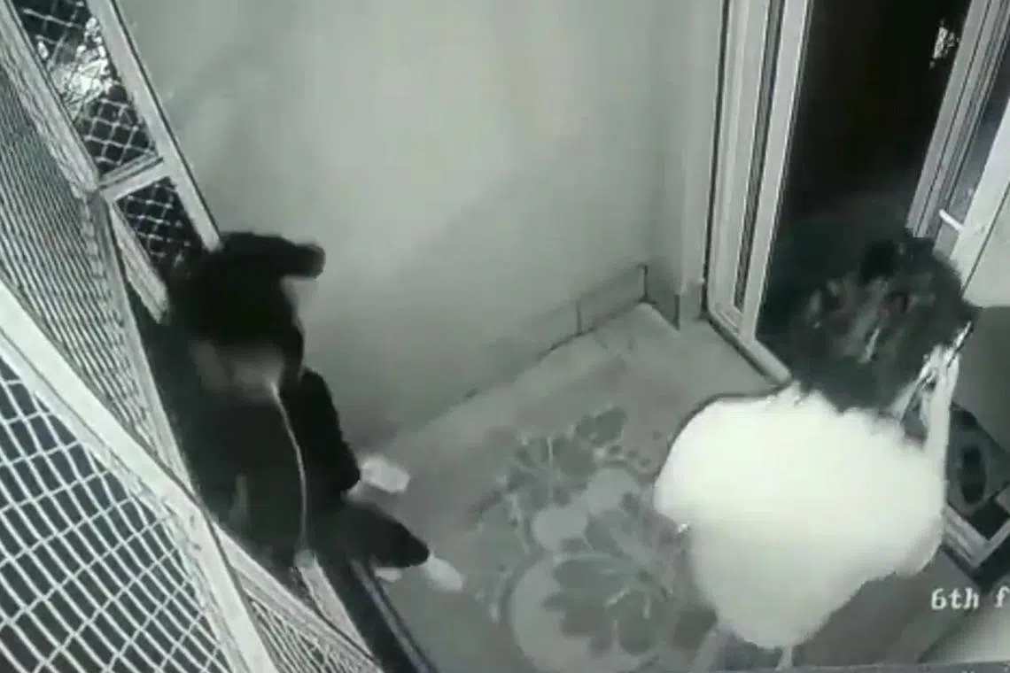 Student Ishanshu Bhattacharya fell from the sixth floor balcony of his hostel after he leaned against a safety mesh that gave way.