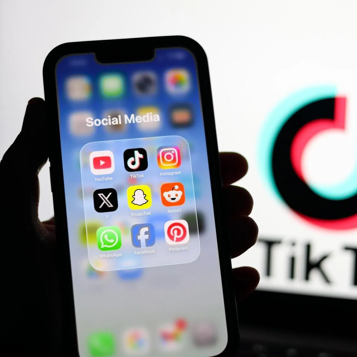 TikTok - along with Meta, Snap and YouTube - faced allegations that its platform is fuelling a youth mental health crisis.