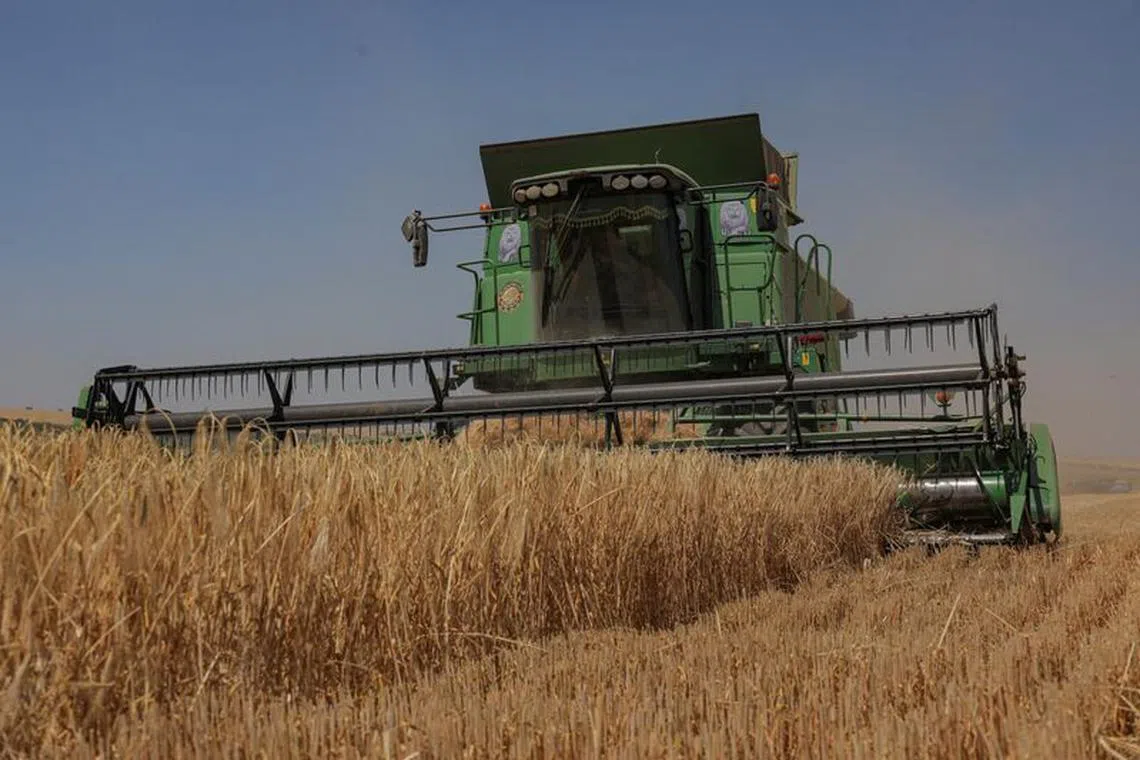 FILE PHOTO: A combine harvests barley in a field, amid Russia's attack on Ukraine, in Odesa region, Ukraine June 23, 2023. REUTERS/Nina Liashonok/File Photo