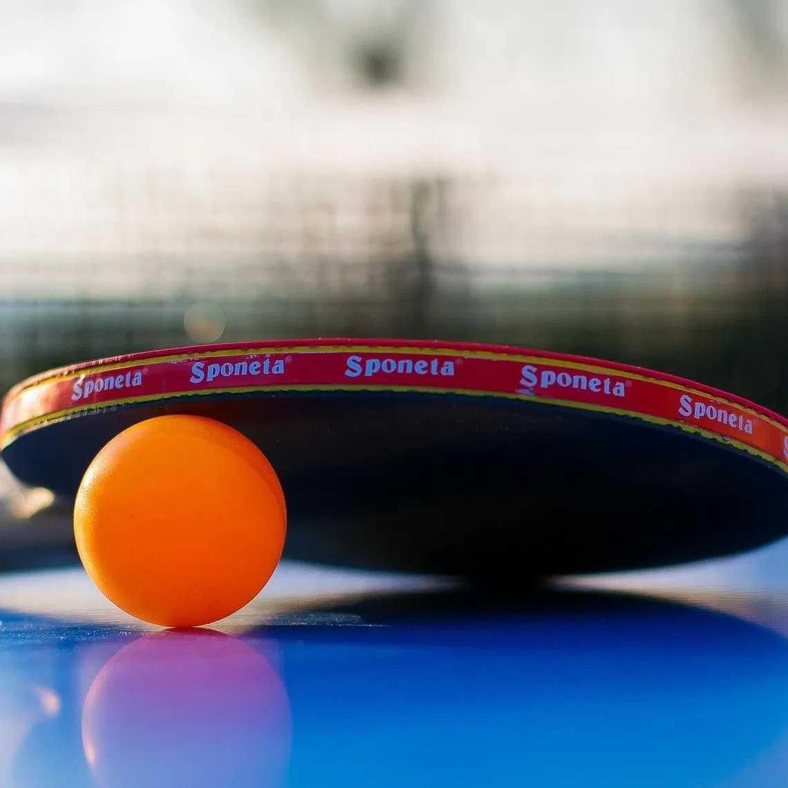 Founded three years ago, Major League Table Tennis (MLTT) is now home to several ping pong players in the global top 100.