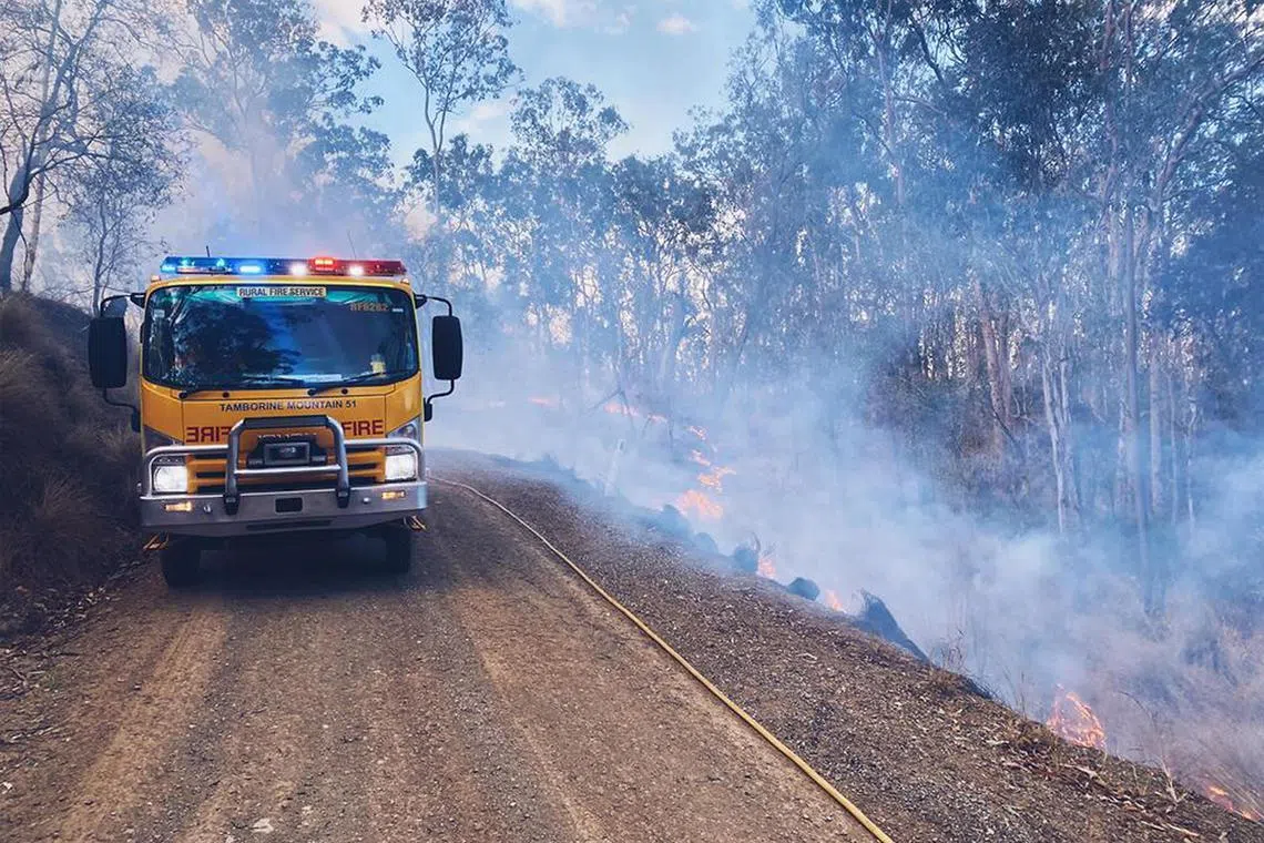 Firefighters toiled through the night to repel bushfires on the border between Queensland and New South Wales .
