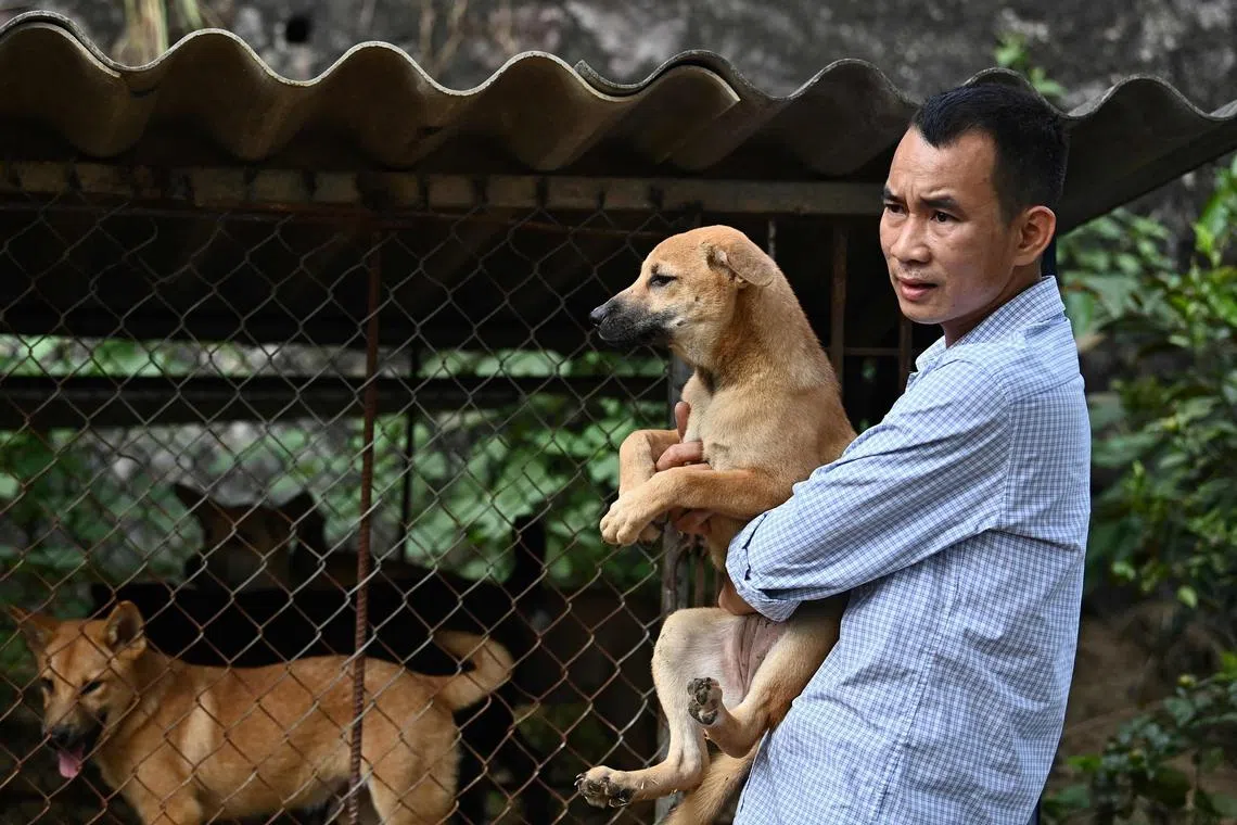 Owner of a dog farm and slaughterhouse Kieu Viet Hung carries a dog next to cages at the facility in Thai Nguyen province on Friday.