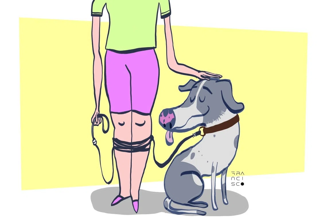 Those considering getting a pet should note that the true cost stretches far beyond the initial price tag.