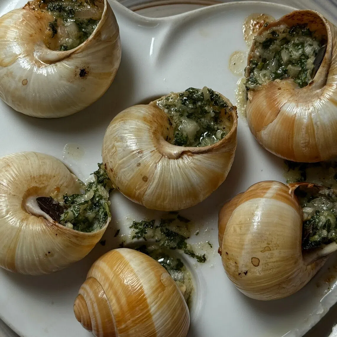 The farm breeds 350,000 snails annually, and supply them to fine-dining and Michelin-starred restaurants in France.